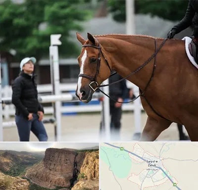 مربی سوارکاری در سرپل ذهاب