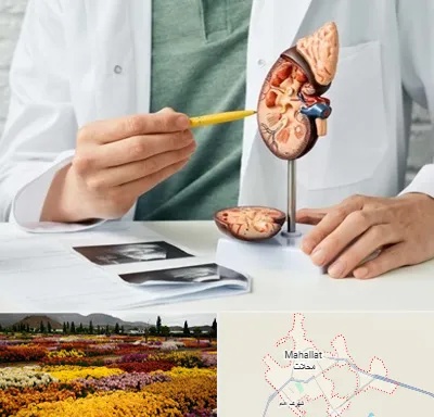 دکتر اورولوژیست در محلات