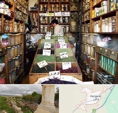 فروش دارو گیاهی در کنگاور