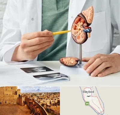دکتر اورولوژیست در میبد