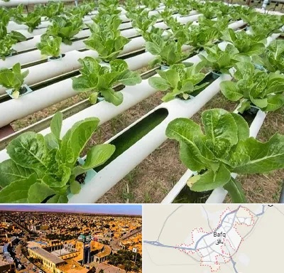 فروش تجهیزات هیدروپونیک در بافق