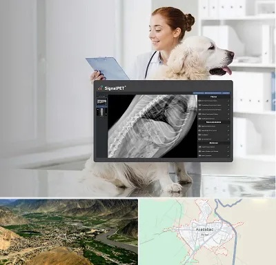 رادیولوژی حیوانات در اسدآباد