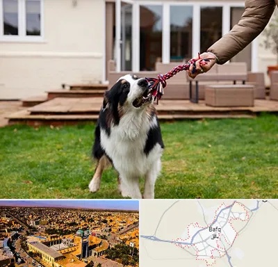 پانسیون سگ در بافق