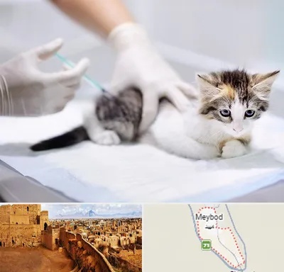 واکسیناسیون حیوانات در میبد