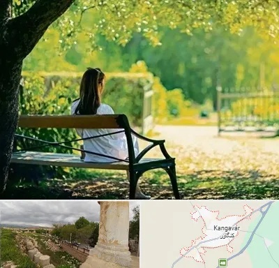 پارک بانوان در کنگاور