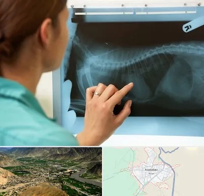 رادیولوژی پرندگان در اسدآباد