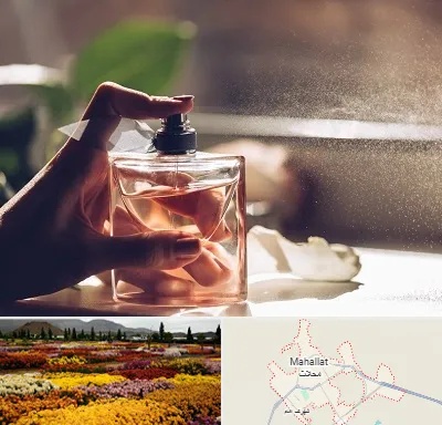فروشگاه عطر و ادکلن در محلات