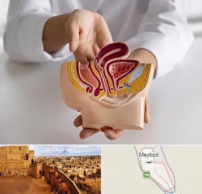 دکتر دستگاه تناسلی مردان در میبد