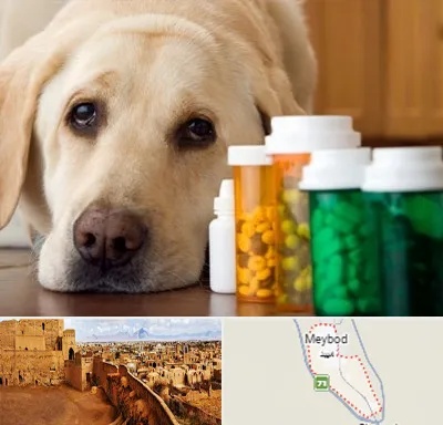 داروخانه دامپزشکی در میبد
