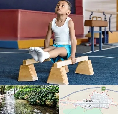 مدرسه ژیمناستیک در هرسین