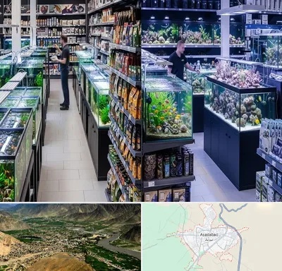 فروش لوازم اکواریوم در اسدآباد