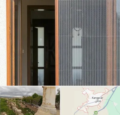 توری پلیسه ای در کنگاور