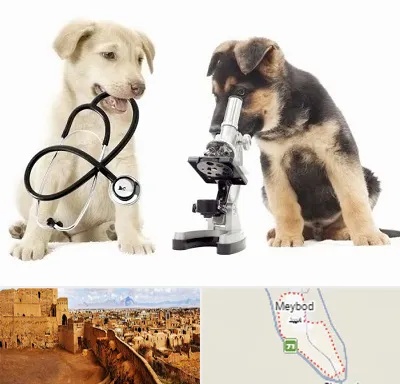 آزمایشگاه دامپزشکی در میبد