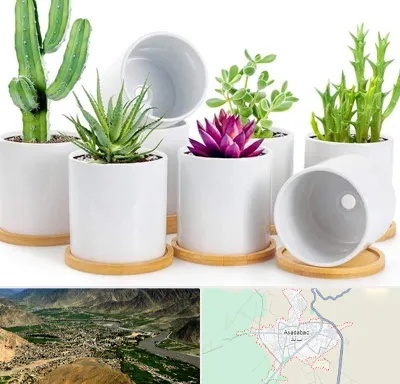 فروش گلدان سرامیکی در اسدآباد