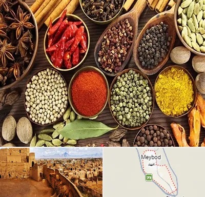 مرکز طب اسلامی در میبد