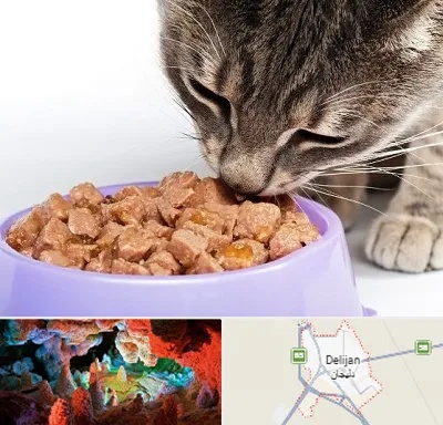 فروشگاه غذای گربه در دلیجان