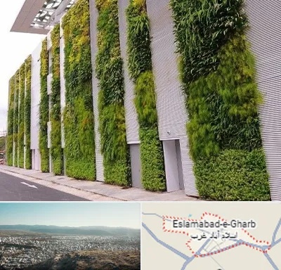 دیوار سبز در اسلام آباد غرب