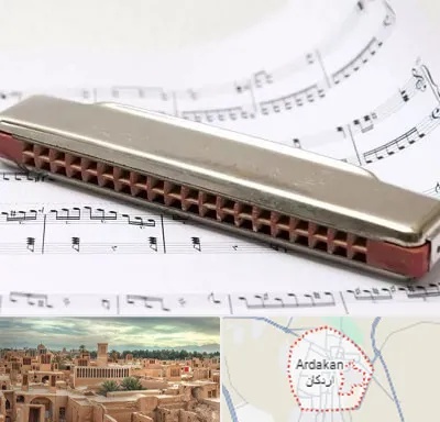 آموزشگاه ساز دهنی در اردکان