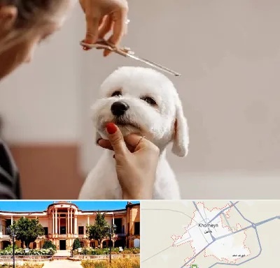آرایشگاه پت در خمین