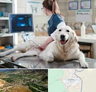 سونوگرافی حیوانات در اسدآباد