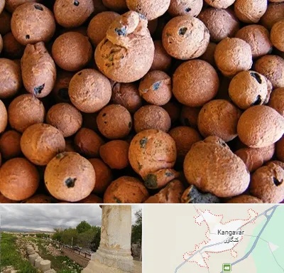 پوکه صنعتی در کنگاور