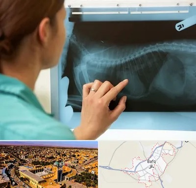 رادیولوژی پرندگان در بافق
