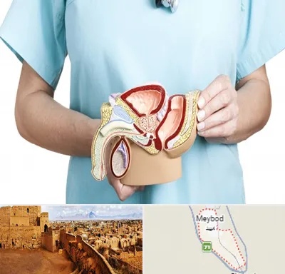 فوق تخصص دستگاه تناسلی مردان در میبد