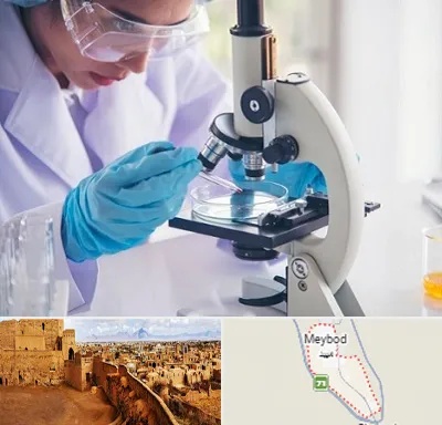 آزمایشگاه در میبد