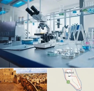 آزمایشگاه تیروئید در میبد