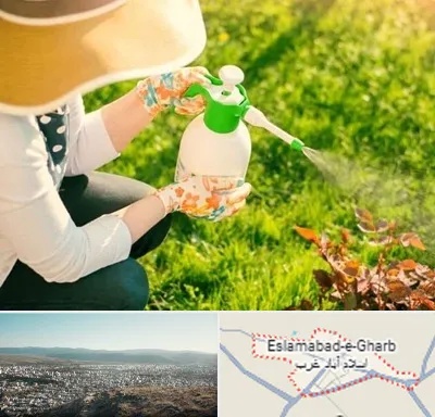 فروش سم حشرات در اسلام آباد غرب