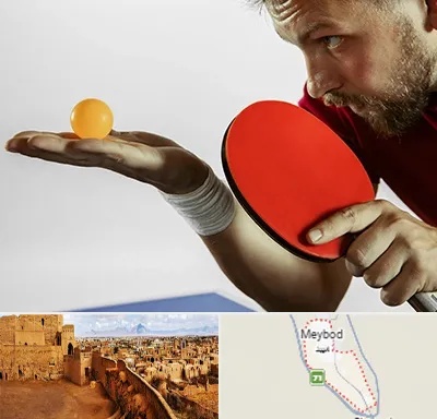 آموزش پینگ پنگ در میبد