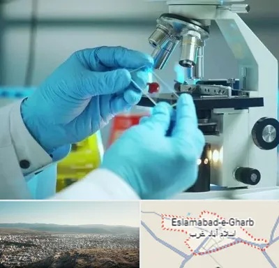 آزمایشگاه با جواب فوری در اسلام آباد غرب