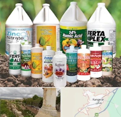 نمایندگی کود گرومور در کنگاور