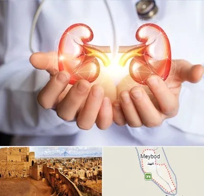 دکتر اورولوژی کودکان در میبد