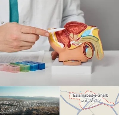 دکتر پروستات در اسلام آباد غرب