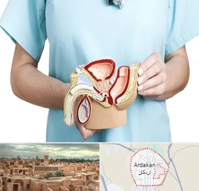 فوق تخصص دستگاه تناسلی مردان در اردکان