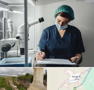 دکتر اورولوژیست خانم در کنگاور