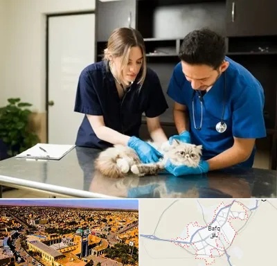 دامپزشکی سیار در بافق