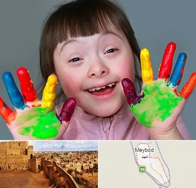 مرکز اوتیسم در میبد