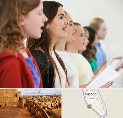 آموزشگاه صدا سازی در میبد