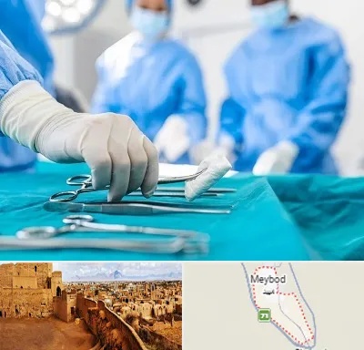 مونس پلاستی در میبد
