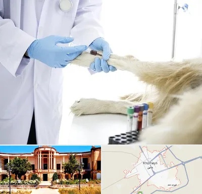 آزمایشگاه حیوانات در خمین