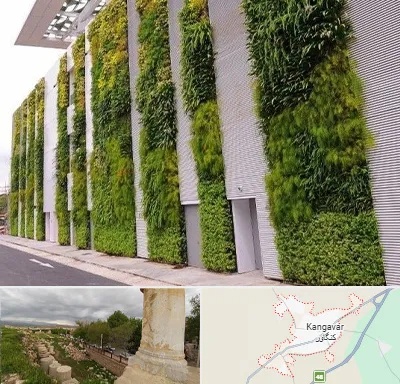 دیوار سبز در کنگاور