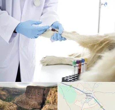 آزمایشگاه حیوانات در سرپل ذهاب