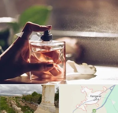 فروشگاه عطر و ادکلن در کنگاور