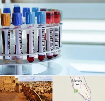 آزمایشگاه ژنتیک در میبد