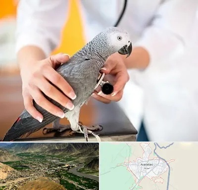 دامپزشکی پرندگان در اسدآباد