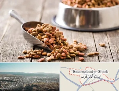 فروشگاه غذای حیوانات خانگی در اسلام آباد غرب