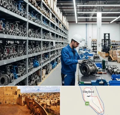 شیرآلات صنعتی در میبد