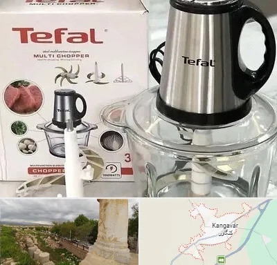 قطعات تفال در کنگاور
